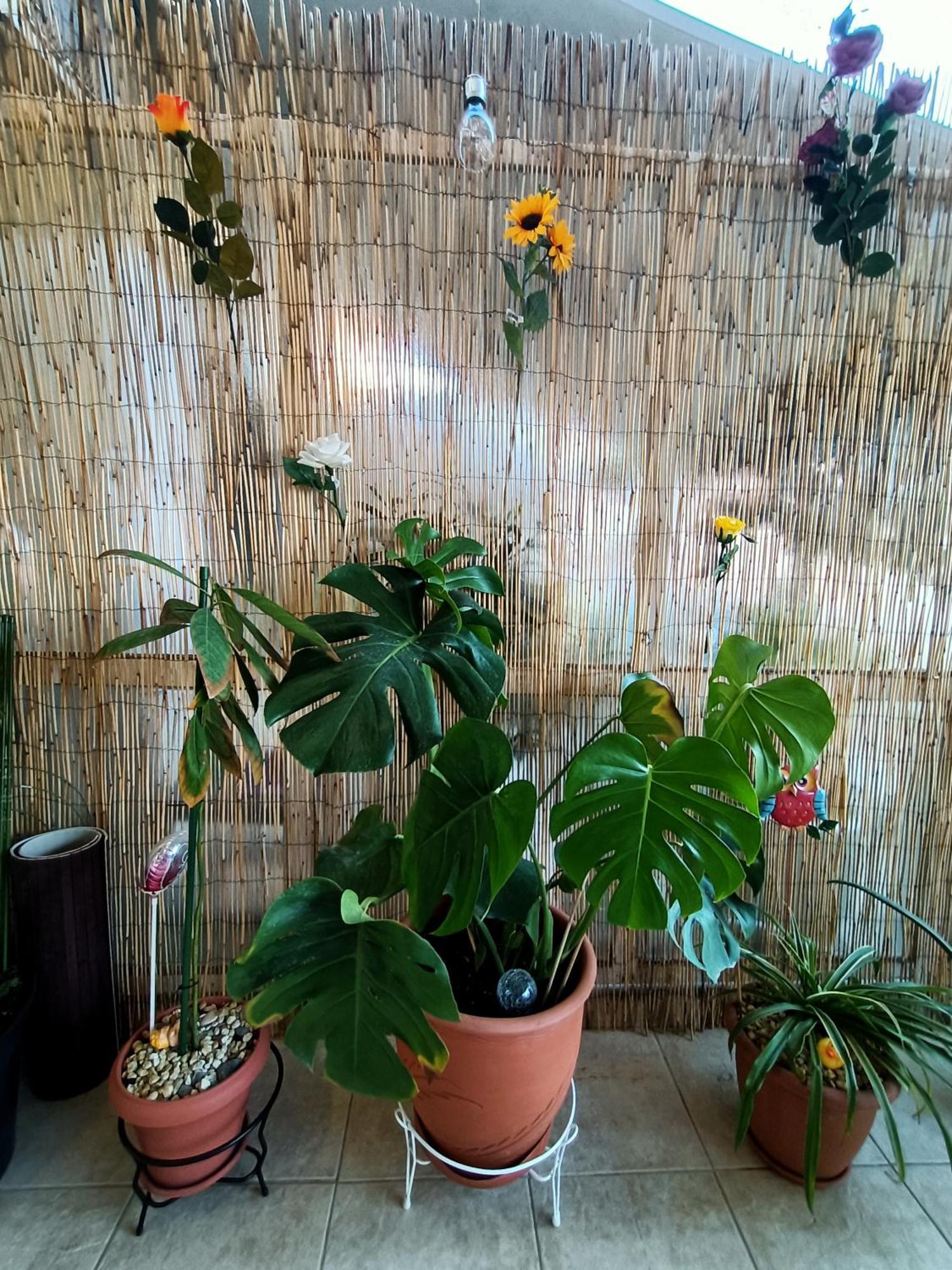 Sunny Studio 雅典 外观 照片
